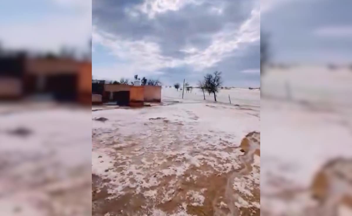 Latest and Breaking News on NDTV