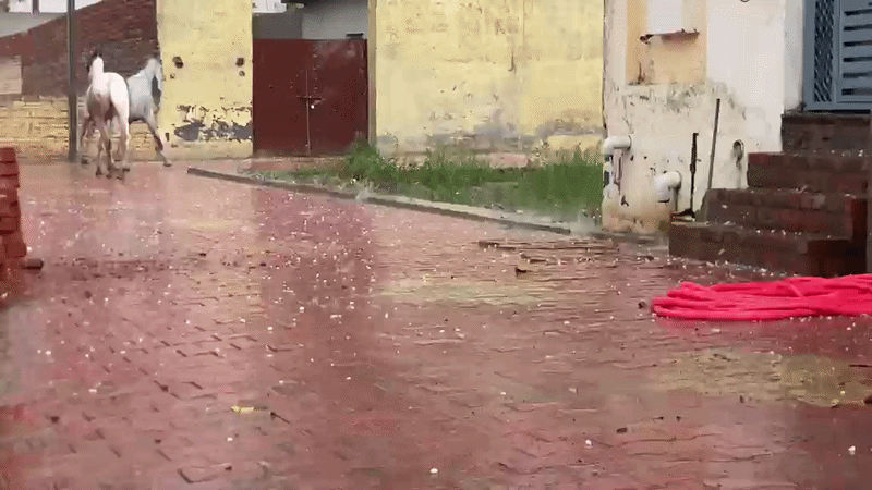 दिल्ली-नोएडा में बदला मौसम का मिजाज, कई इलाकों में आंधी-बारिश, गाजियाबाद में पड़े ओले