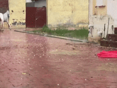 दिल्ली-नोएडा में बदला मौसम का मिजाज, कई इलाकों में आंधी-बारिश, गाजियाबाद में पड़े ओले