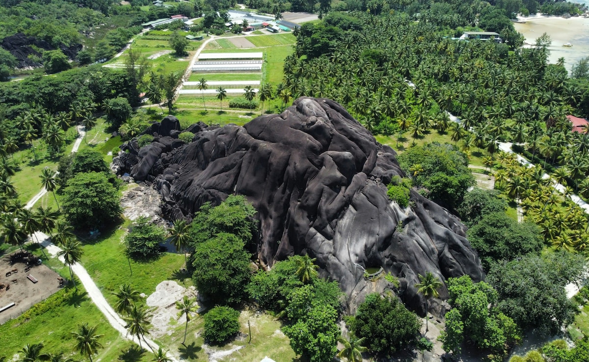 Latest and Breaking News on NDTV Latest and Breaking News on NDTV