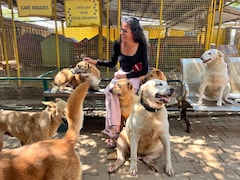 अमेरिका-ईरान युद्ध का असर: बेंगलुरु में बेजुबानों पर टूटा LPG का संकट, लकड़ियों पर पक रहा 600 कुत्तों का खाना