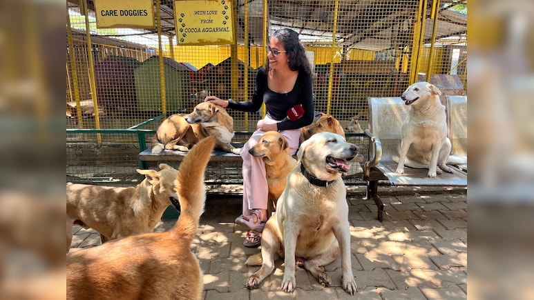 अमेरिका-ईरान युद्ध का असर: बेंगलुरु में बेजुबानों पर टूटा LPG का संकट, लकड़ियों पर पक रहा 600 कुत्तों का खाना