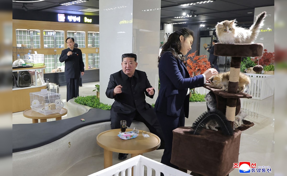 Latest and Breaking News on NDTV