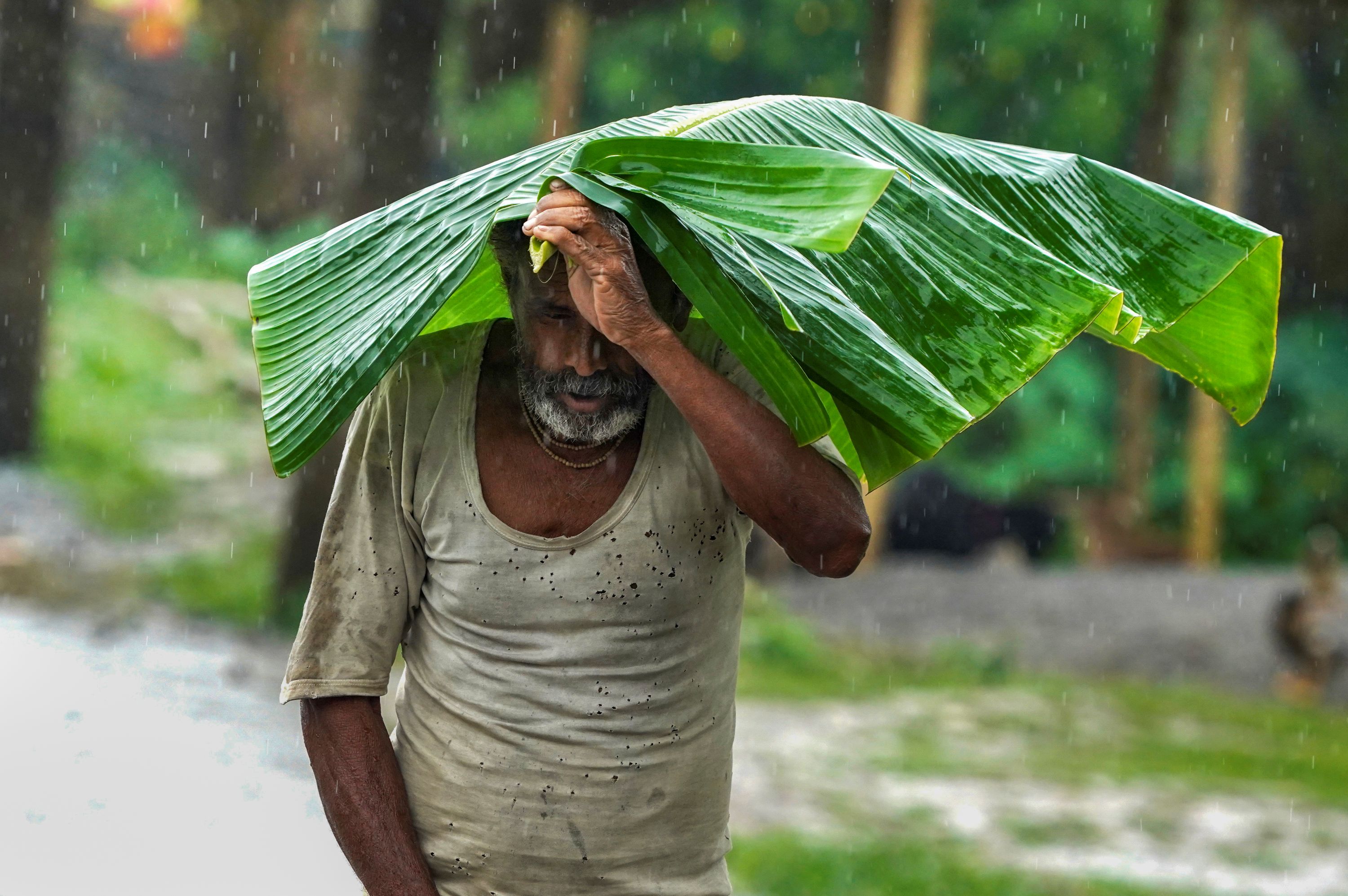 दिल्ली-NCR समेत 10 राज्यों में तेज बारिश, 60 की स्पीड से चलेगी हवा, जानें कहां गिरेंगे ओले और बिजली