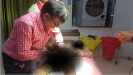 Satna: 6 साल के मासूम के प्राइवेट पार्ट में घुसा सरिया, मेडिकल कॉलेज के डॉक्टरों ने ऑपरेशन कर बचाई जान