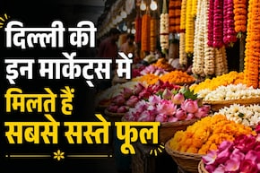 शादी का बजट दे रहा है टेंशन? जान लें इन सस्ती फूल मार्केट्स का सीक्रेट, आधा खर्चा होगा कम, डेकोरेशन दिखेगा रॉयल