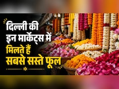 शादी का बजट दे रहा है टेंशन? जान लें इन सस्ती फूल मार्केट्स का सीक्रेट, आधा खर्चा होगा कम, डेकोरेशन दिखेगा रॉयल