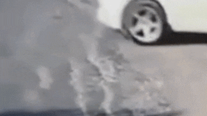 नाबालिग चला रहा था बिना नंबर प्लेट की कार, पुलिसकर्मी को बोनट पर घसीटा, देखें वीडियो