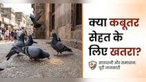 कबूतर के पंख और बीट से हो सकता है सेहत को नुकसान, एक्सपर्ट से जानें...