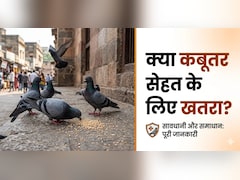 कबूतर के पंख और बीट से हो सकता है सेहत को नुकसान, एक्सपर्ट से जानें...
