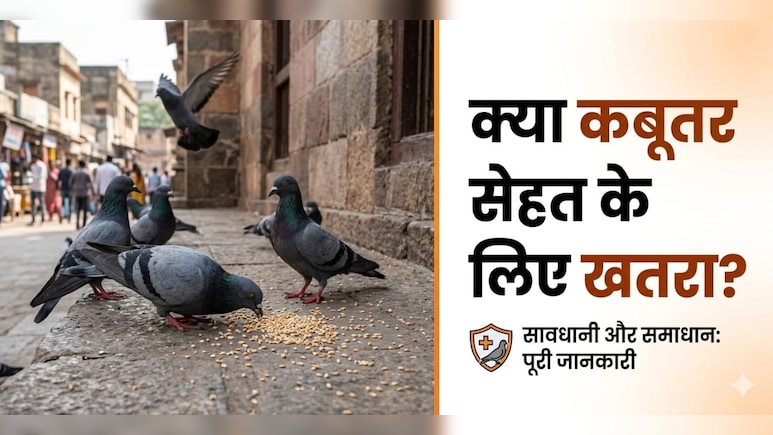 कबूतर के पंख और बीट से हो सकता है सेहत को नुकसान, एक्सपर्ट से जानें...