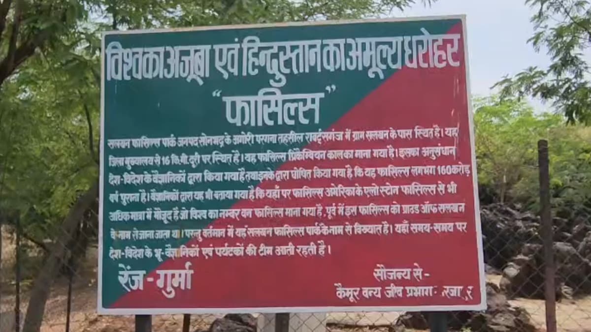 Salkhan Fossils Park in Sonbhadra Uttar Pradesh unesco heritage Salkhan Fossils Park in Sonbhadra Uttar Pradesh unesco heritage