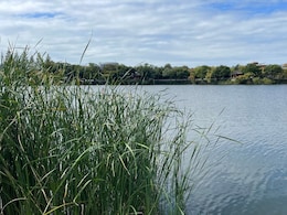 Nashik News: हृदयद्रावक घटनेने नाशिक हळहळलं! 4 युवकांचा दुर्दैवी मृत्यू; 'ती' सफर अखेरची ठरली