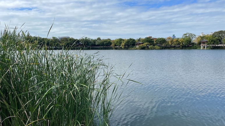 Nashik News: हृदयद्रावक घटनेने नाशिक हळहळलं! 4 युवकांचा दुर्दैवी मृत्यू; 'ती' सफर अखेरची ठरली