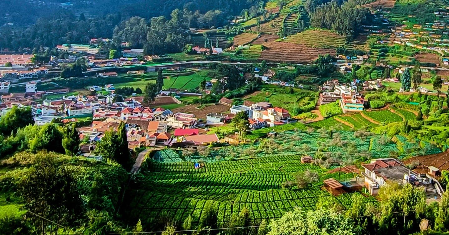 Toy Train, Tea Gardens And Cool Weather - Why Summer In Ooty Just Feels Right