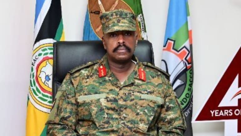 'Give $1 Billion, Most Beautiful Woman As Wife': Uganda Army Chief To Turkey