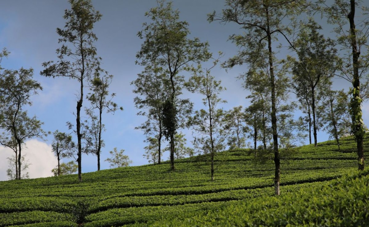 Latest and Breaking News on NDTV Latest and Breaking News on NDTV