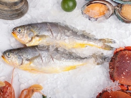 Which City Is Known As The Seafood Capital Of India?