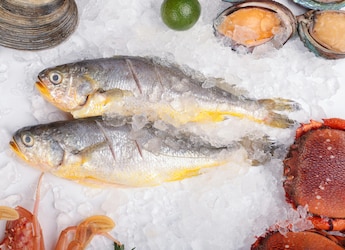 Which City Is Known As The Seafood Capital Of India?