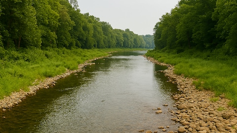 Story image