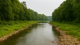 Which Is India's Shortest River And Where Is It Located?