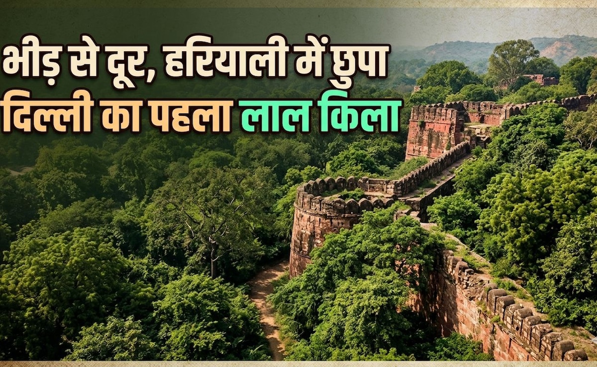 द‍िल्‍ली में क्‍या देखें? इस जंगल के बीचों-बीच है दिल्‍ली का असली लाल किला! राजस्‍थान छोड़ो यहां घूमों...
