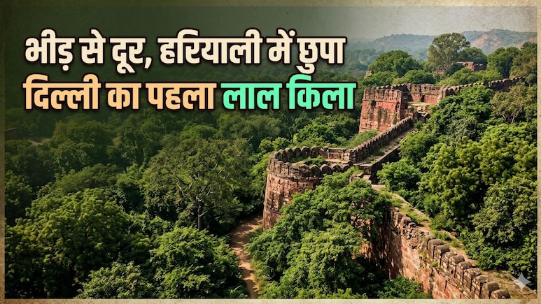 द&zwj;िल्&zwj;ली में क्&zwj;या देखें? इस जंगल के बीचों-बीच है दिल्&zwj;ली का असली लाल किला! राजस्&zwj;थान छोड़ो यहां घूमों...