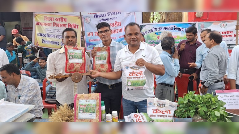 देशभर में बढ़ी लैलूंगा के सुगंधित चावल की मांग; बेंगलुरु से कारगिल तक पहुंचा छत्तीसगढ़ का &lsquo;केलो&rsquo; जंवाफूल