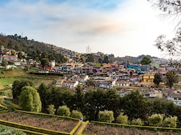 Toy Train, Tea Gardens And Cool Weather - Why Summer In Ooty Just Feels Right