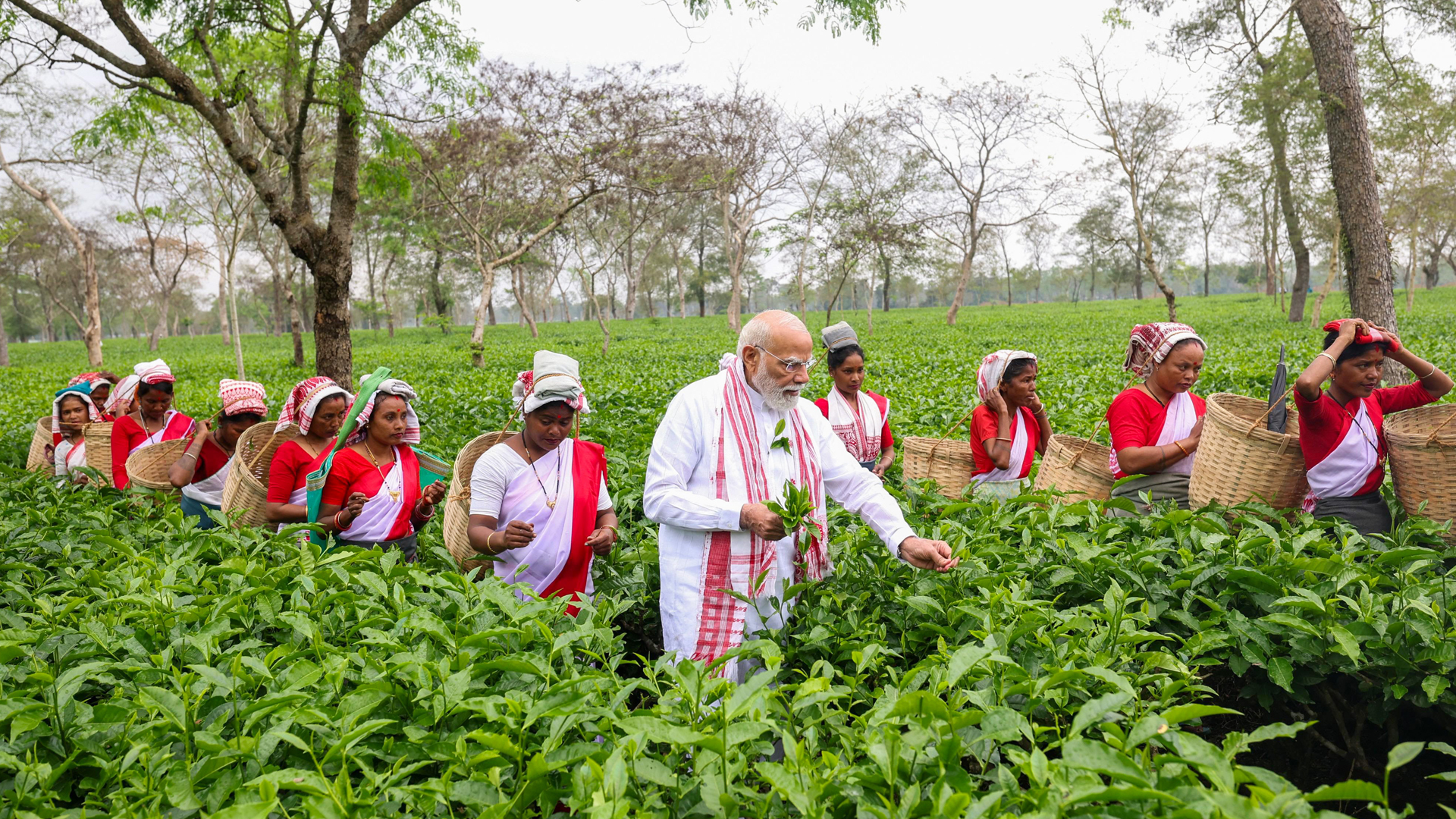 From Tea Gardens to Poll Pitch: Modi's Big Assam Push for NDA