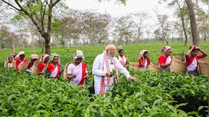 From Tea Gardens to Poll Pitch: Modi's Big Assam Push for NDA