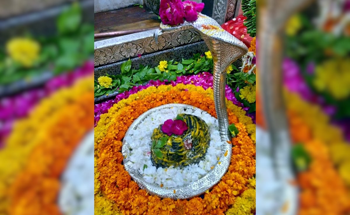 Latest and Breaking News on NDTV