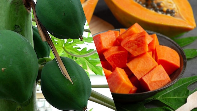 Raw papaya and ripe papaya are known to be beneficial for controlling blood sugar