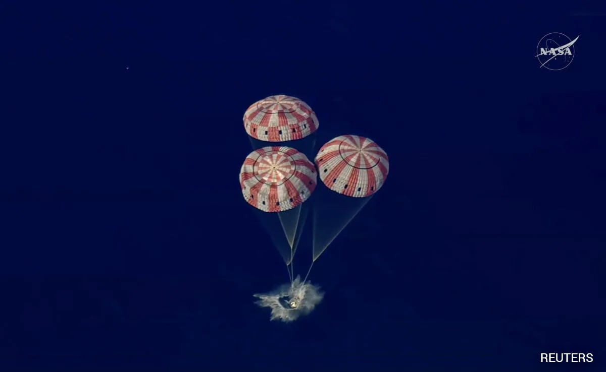 The Art of Baking: From Classic Bread to Artisan Pastries