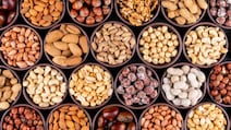 How Much Nuts Should You Eat? Apollo Doctor Reveals The Right Portion