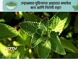 Pudina Benefits: पुदिन्याचे सेवन करणं 9 लोकांसाठी ठरेल वरदान, उन्हाळ्यात पुदिना खाण्याची योग्य पद्धत जाणून घ्या