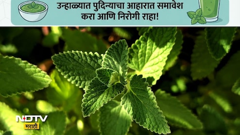 Pudina Benefits: पुदिन्याचे सेवन करणं 9 लोकांसाठी ठरेल वरदान, उन्हाळ्यात पुदिना खाण्याची योग्य पद्धत जाणून घ्या
