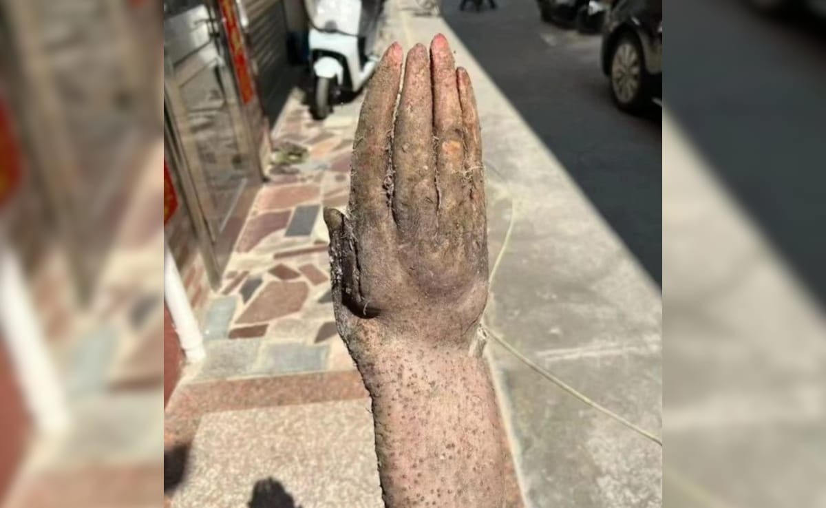 Latest and Breaking News on NDTV Latest and Breaking News on NDTV