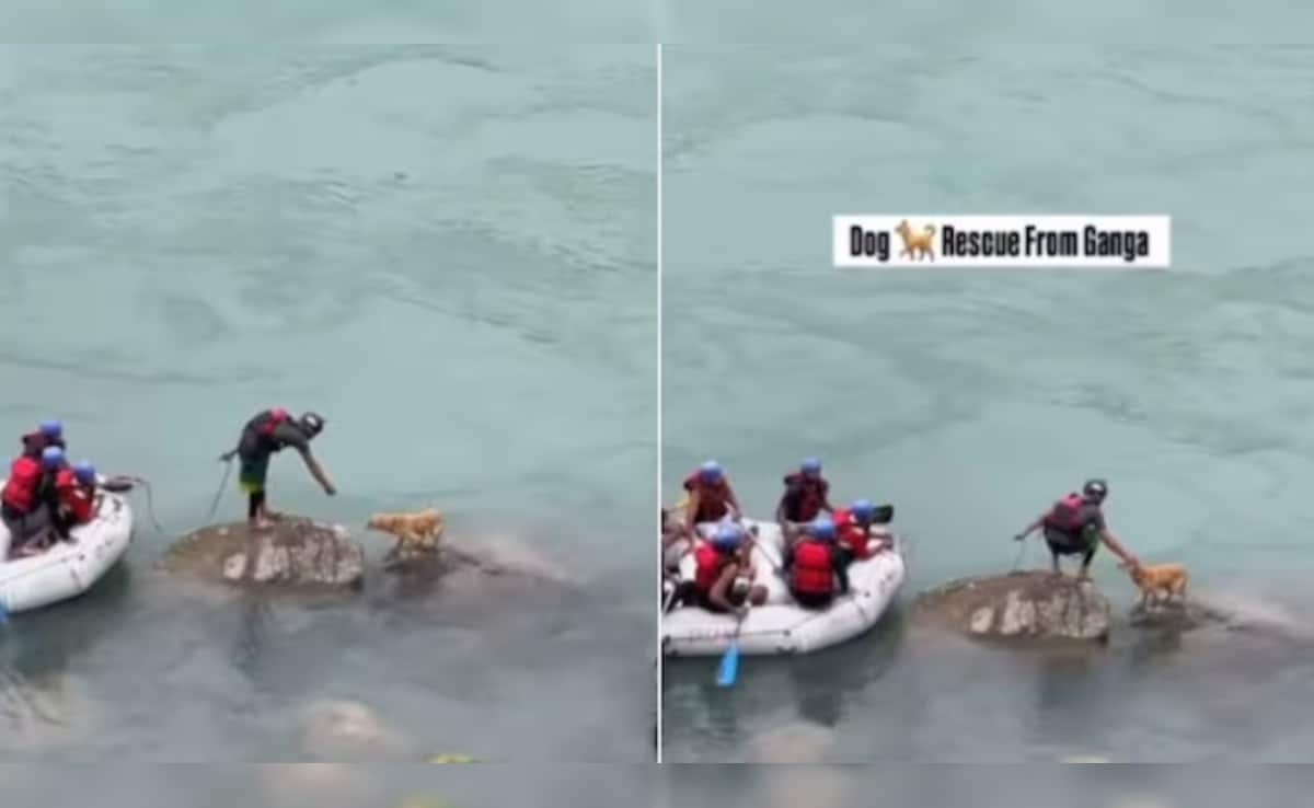 Latest and Breaking News on NDTV