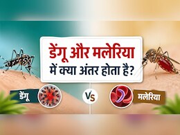 डेंगू और मलेरिया में क्या अंतर होता है? कौन-सा मच्छर फैलाता है डेंगू और मलेरिया? जानिए इलाज, लक्षण और बचाव के तरीके