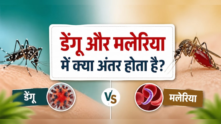 डेंगू और मलेरिया में क्या अंतर होता है? कौन-सा मच्छर फैलाता है डेंगू और मलेरिया? जानिए इलाज, लक्षण और बचाव के तरीके