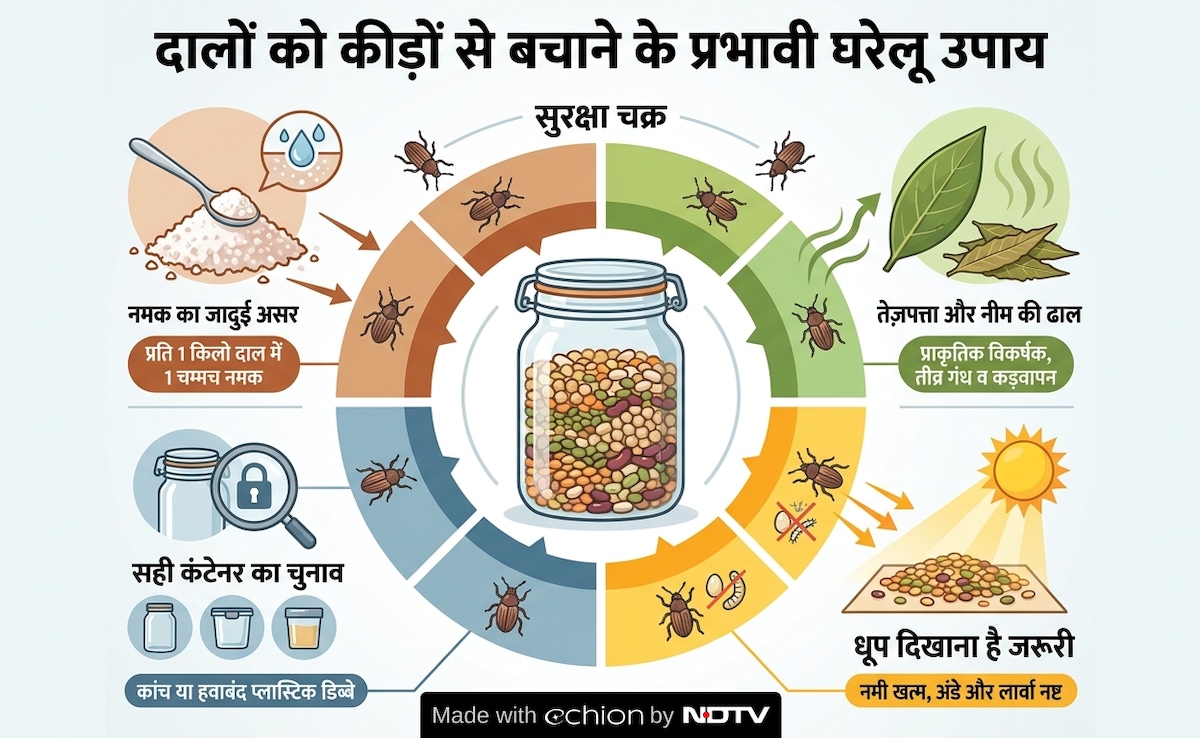 Latest and Breaking News on NDTV