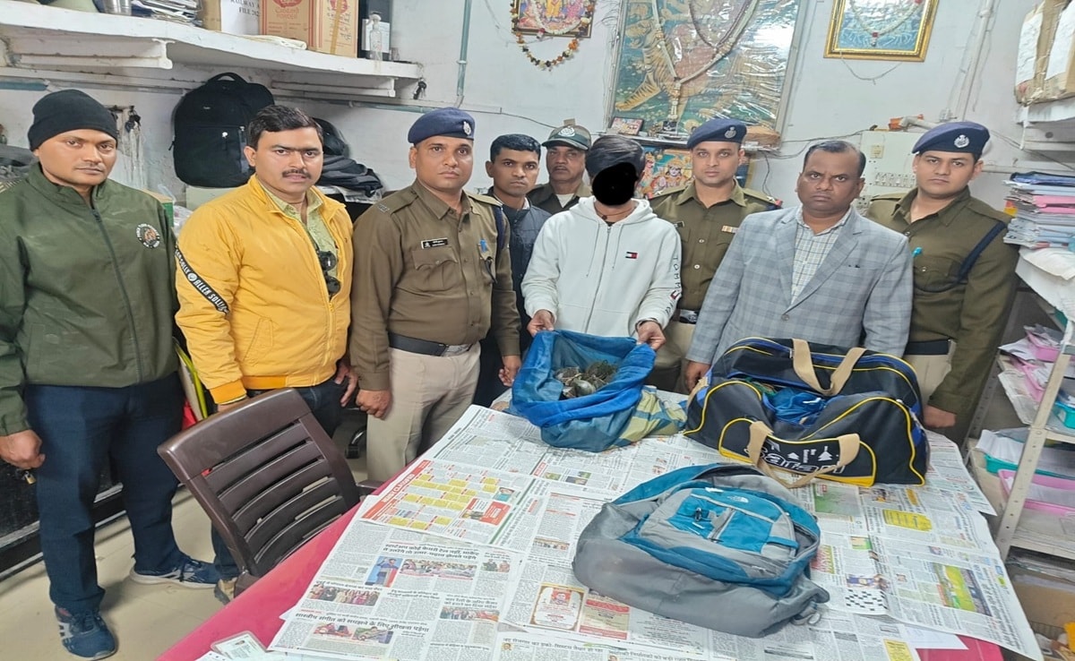 ट्रेन के AC क्लास से 311 दुर्लभ कछुओं की तस्करी का मामला; आरोपी की जमानत याचिका खारिज, कोर्ट का बड़ा फैसला