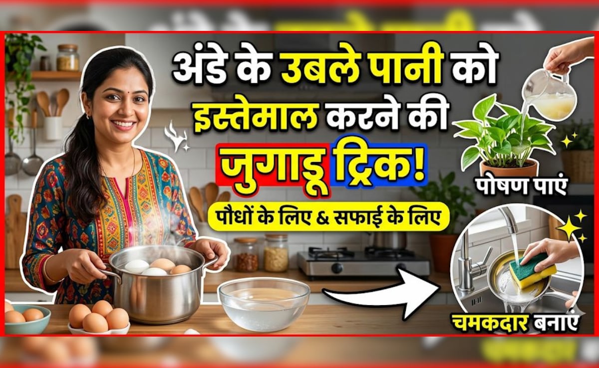 अंडे उबालने के बाद पानी फेंक देते हैं? जानें बचा हुआ पानी किन चीजों में आ सकता है काम!