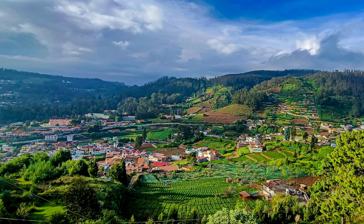 Latest and Breaking News on NDTV