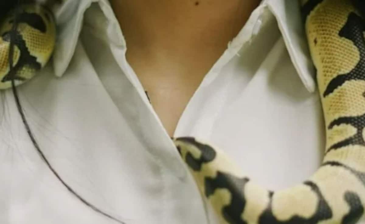 खतरनाक शौक को ही बना लिया बिजनेस! 60,000 ज़हरीले सांपों को पालकर करोड़ों कमा रही ये महिला