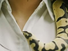 खतरनाक शौक को ही बना लिया बिजनेस! 60,000 ज़हरीले सांपों को पालकर करोड़ों कमा रही ये महिला