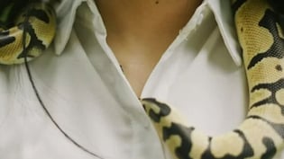 खतरनाक शौक को ही बना लिया बिजनेस! 60,000 ज़हरीले सांपों को पालकर करोड़ों कमा रही ये महिला