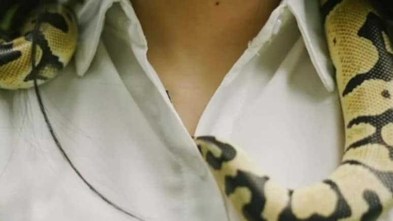 खतरनाक शौक को ही बना लिया बिजनेस! 60,000 ज़हरीले सांपों को पालकर करोड़ों कमा रही ये महिला