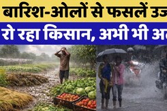 Rajasthan Weather: मौसम का कहर: Hailstorm से Crops को नुकसान | Rajasthan Top News | Rain Alert